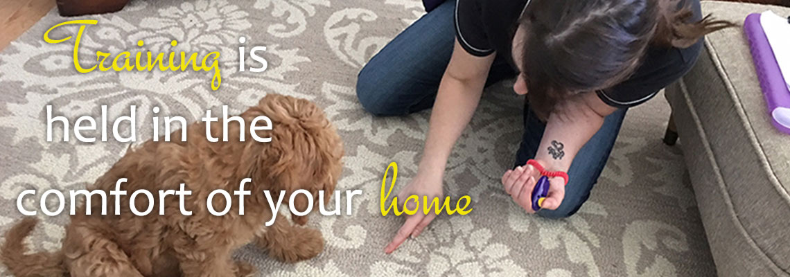 dog training in your home